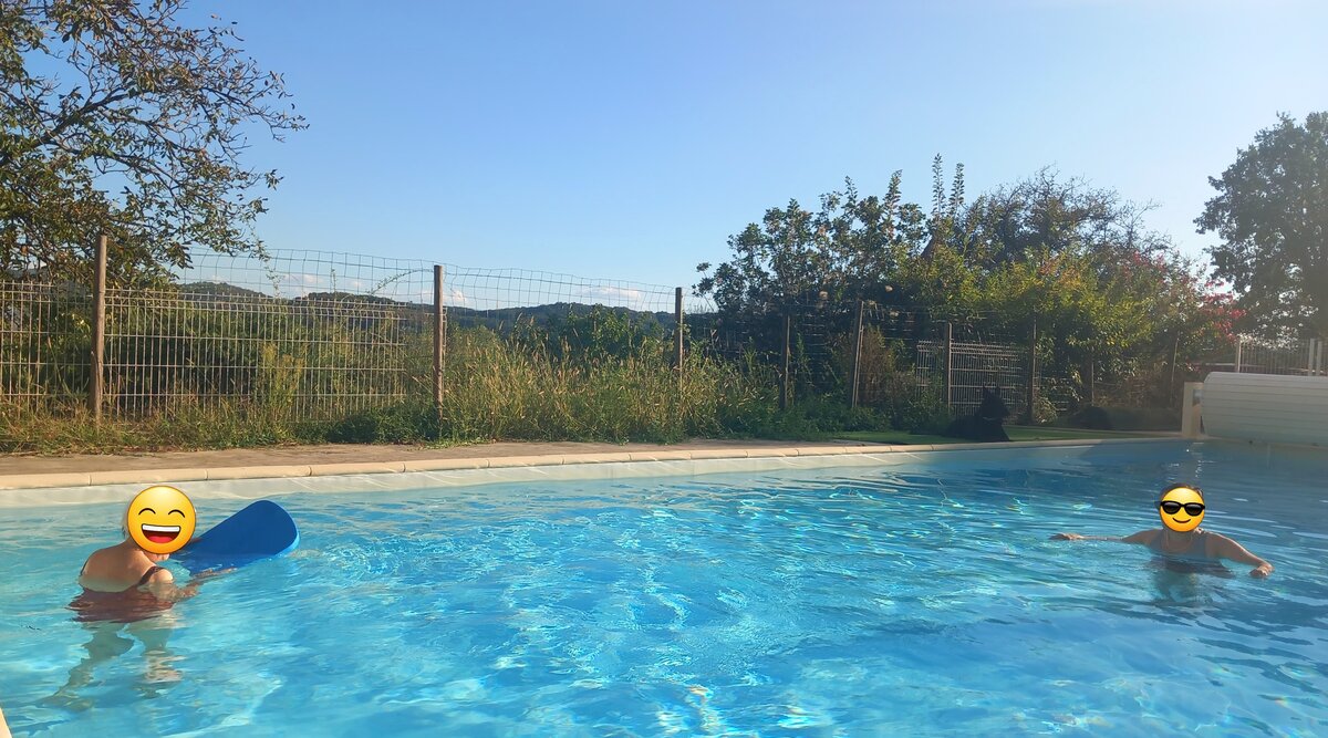 Vue de la piscine, entourée de verdure et offrant un espace relaxant pour se baigner et se détendre
